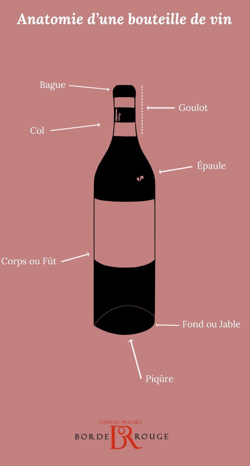 Anatomie d'une bouteille de vin - BOCAVI